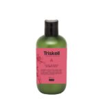 Aizsargājošs kondicionieris krāsotiem matiem TRISKELL 300 ML